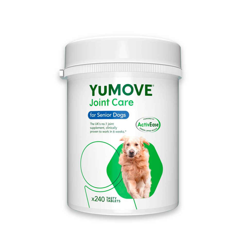 Older dog on sale joint supplement
