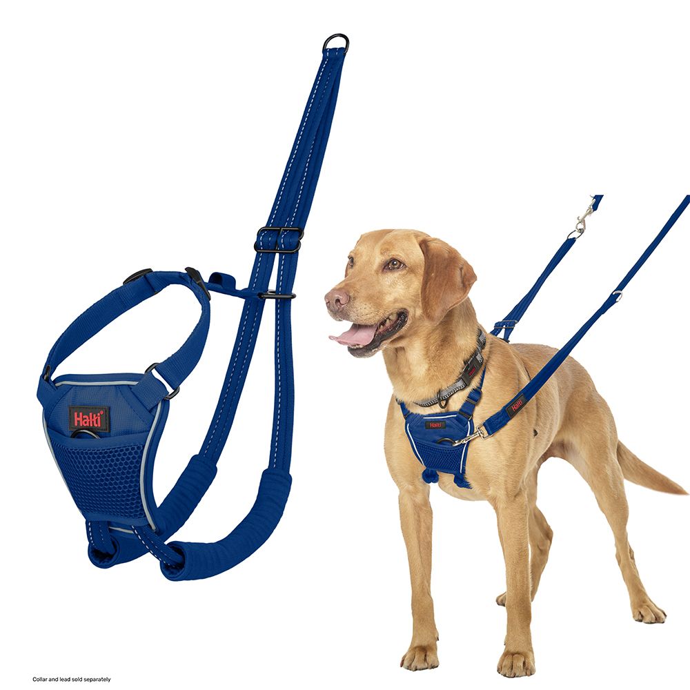 Halti No Pull Harness Blue Various Sizes
