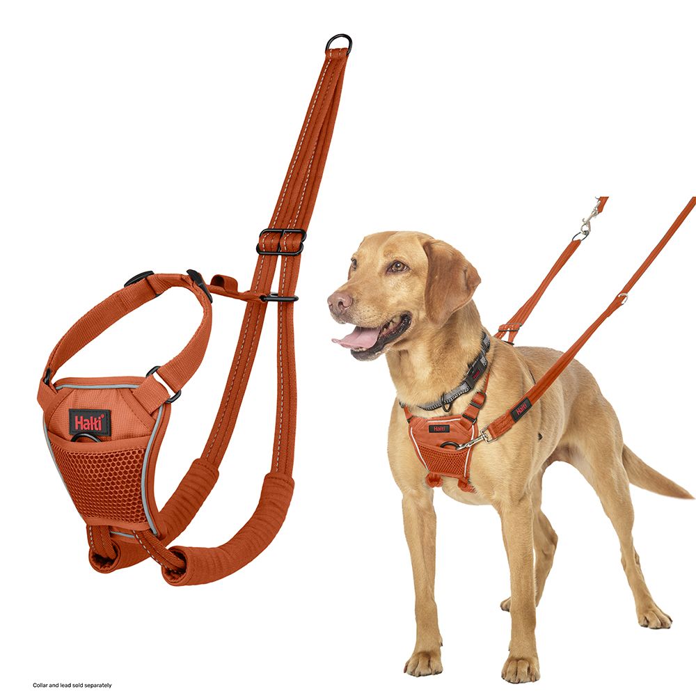 Halti No Pull Harness Orange Various Sizes