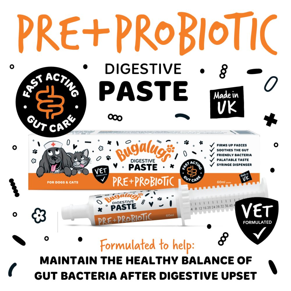 Bugalugs Digestive Pre + Probiotic Paste Various Sizes