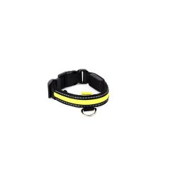 Animate LED Collar Green Small - 25x34-41cm