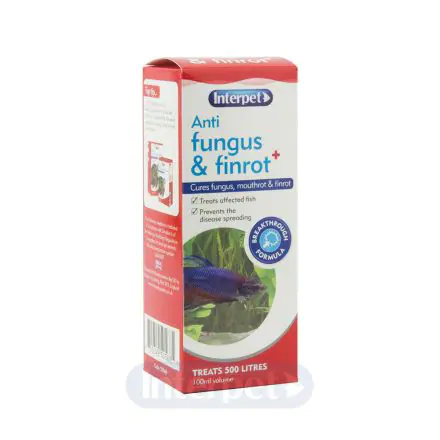 Anti Fungus & Finrot - 100ml