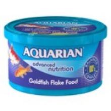 Aquarian Goldfish Various Sizes