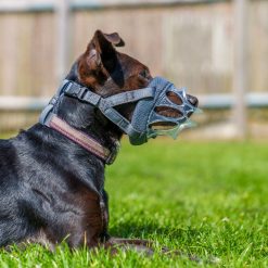 Baskerville INVISA Basket Muzzle Various Sizes