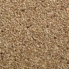 Bucktons Plain Canary - 20kg