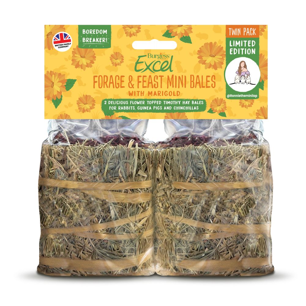 Burgess Excel Forage & Feast Mini Hay Bale Marigold - 100g