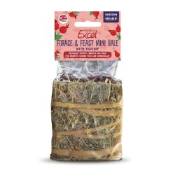 Burgess Excel Forage & Feast Mini Hay Bale Rosehip - 100g