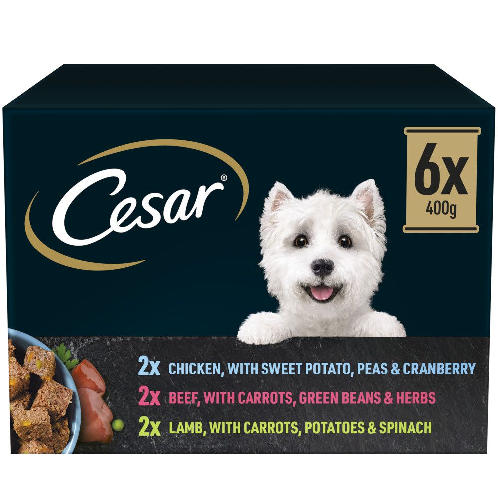 Cheap wet dog food shop