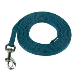 Coachi Puppy & Mini Teal Training Lead - 2.5mtr