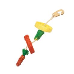 Critters Choice Loofah Hang Toy - 30cm