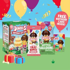 Denzel's Birthday Gift Box for dogs - 110g