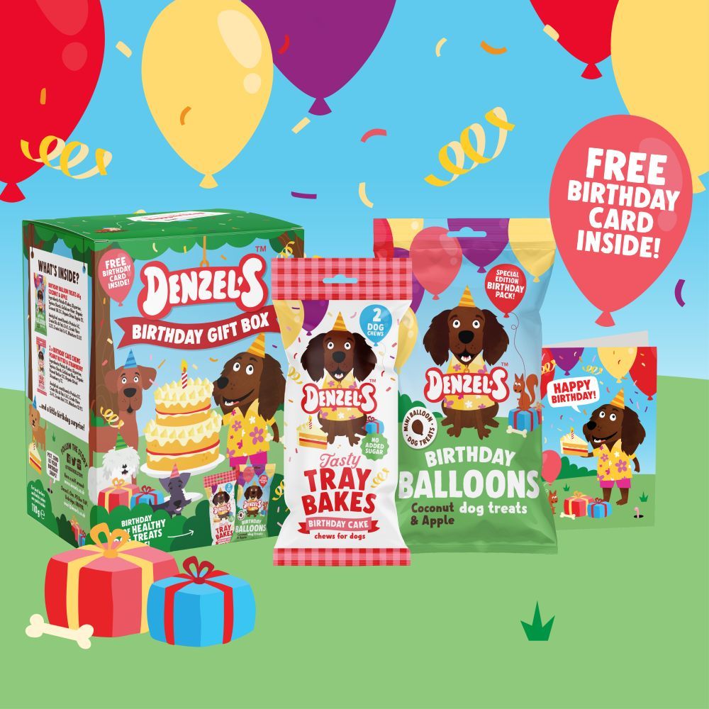 Denzel's Birthday Gift Box for dogs - 110g