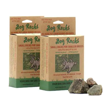 Dog Rocks Igneous Rock Various Sizes