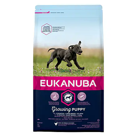 EUKANUBA Growing Puppy Large Breed rich in fresh chicken 12kg - 12kg