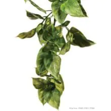 Exo Plastic Amapallo Shrub - Small