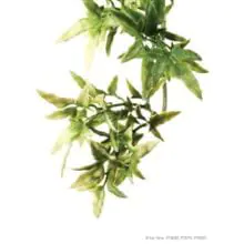 Exo Plastic Croton Shrub - Large