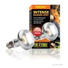 Exo Terra Intense Basking Spot - 100w - 100w
