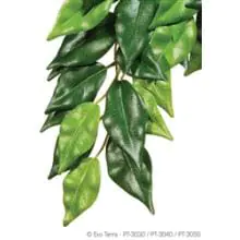 Exo Terra Silk Ficus Plant - Small