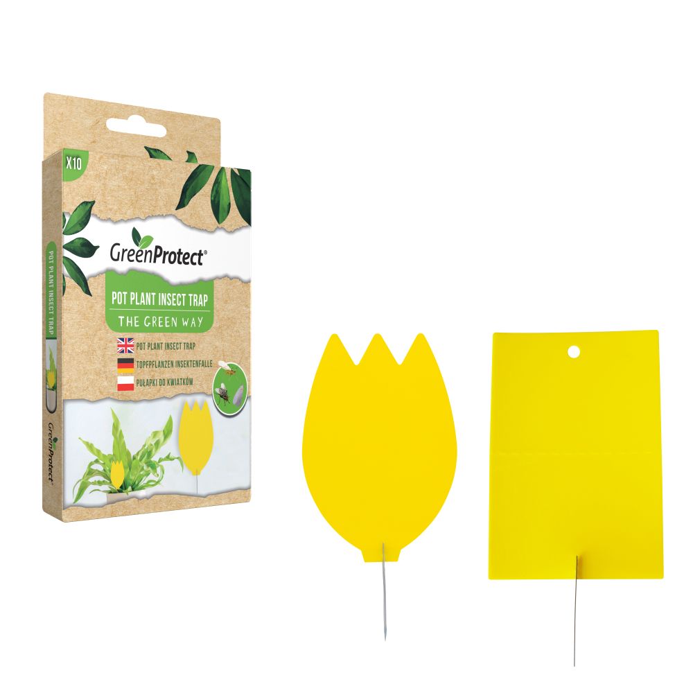 Green Protect Pot Plant Insect Trap