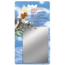 Hagen Cockatiel Mirror