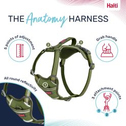 Halti Anatomy Harness Green Various Sizes