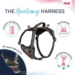 Halti Anatomy Harness Grey Various Sizes