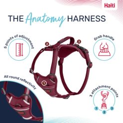 Halti Anatomy Harness Pink Various Sizes