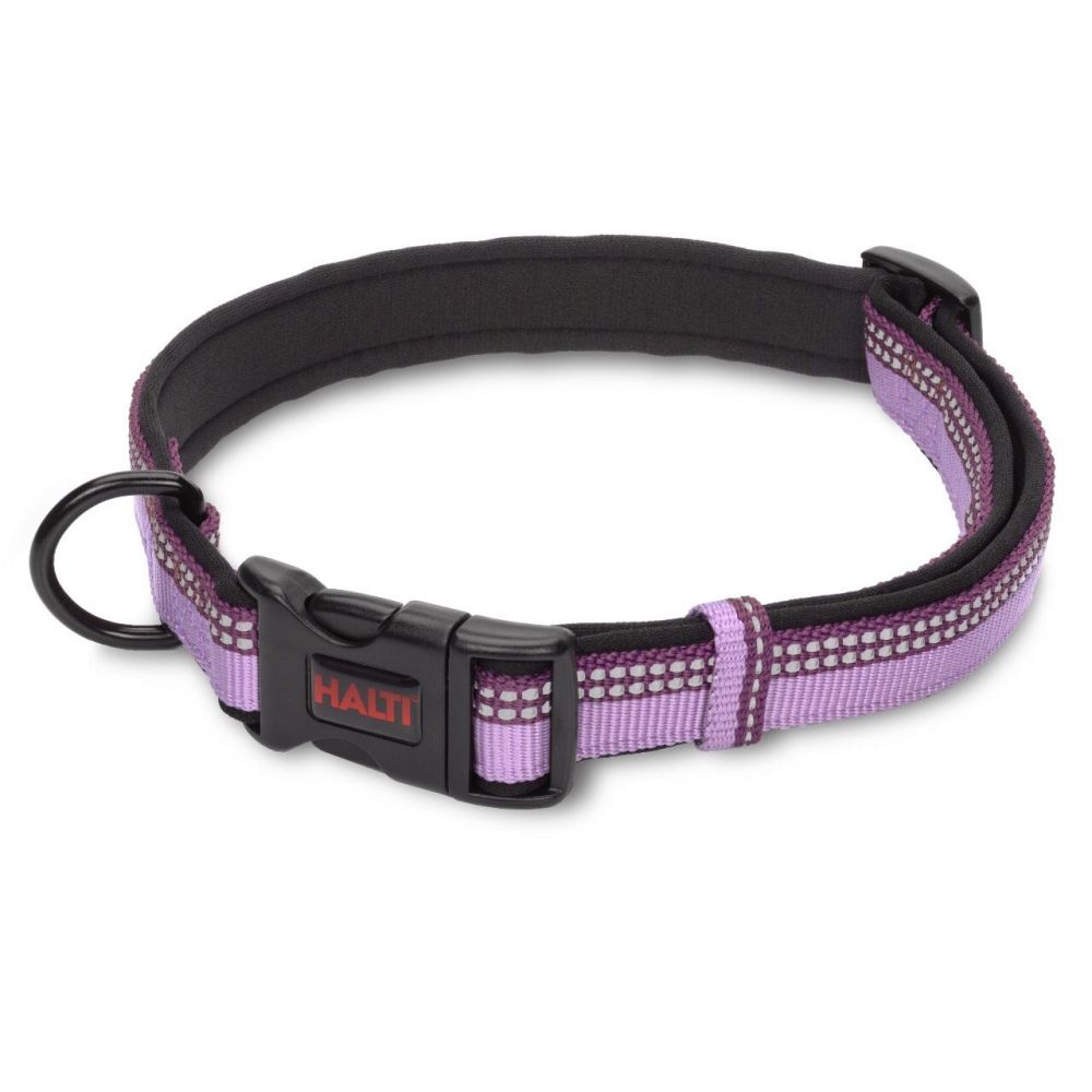 Halti Collar Purple