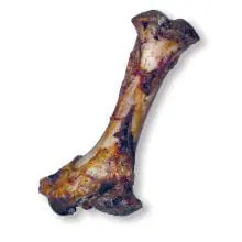 Hollings Roast Full Bone Bulk Box - 10s