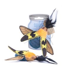 Jewel Beetle With Catnip