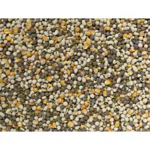Johnston & Jeff  Mixed Pulses - 12.5kg