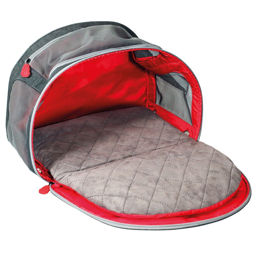Kong dog sales carrier