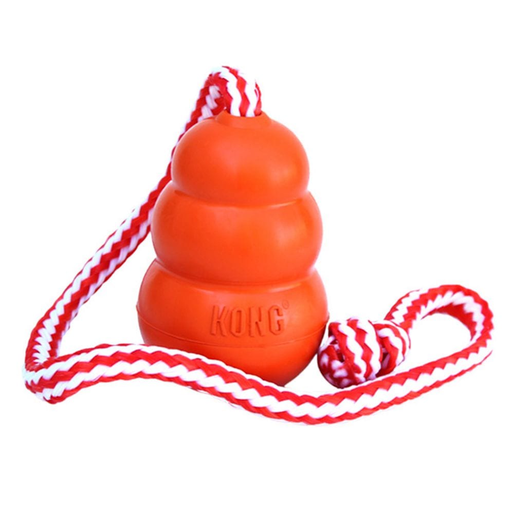 KONG Aqua Large - Large