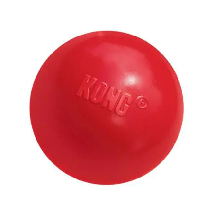 KONG Ball Small With Hole - Small