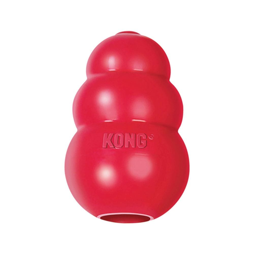 Kong classic x large deals