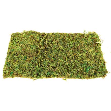 Komodo Moss Mat Large - 2 pack