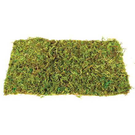 Komodo Moss Mat Large - 2 pack