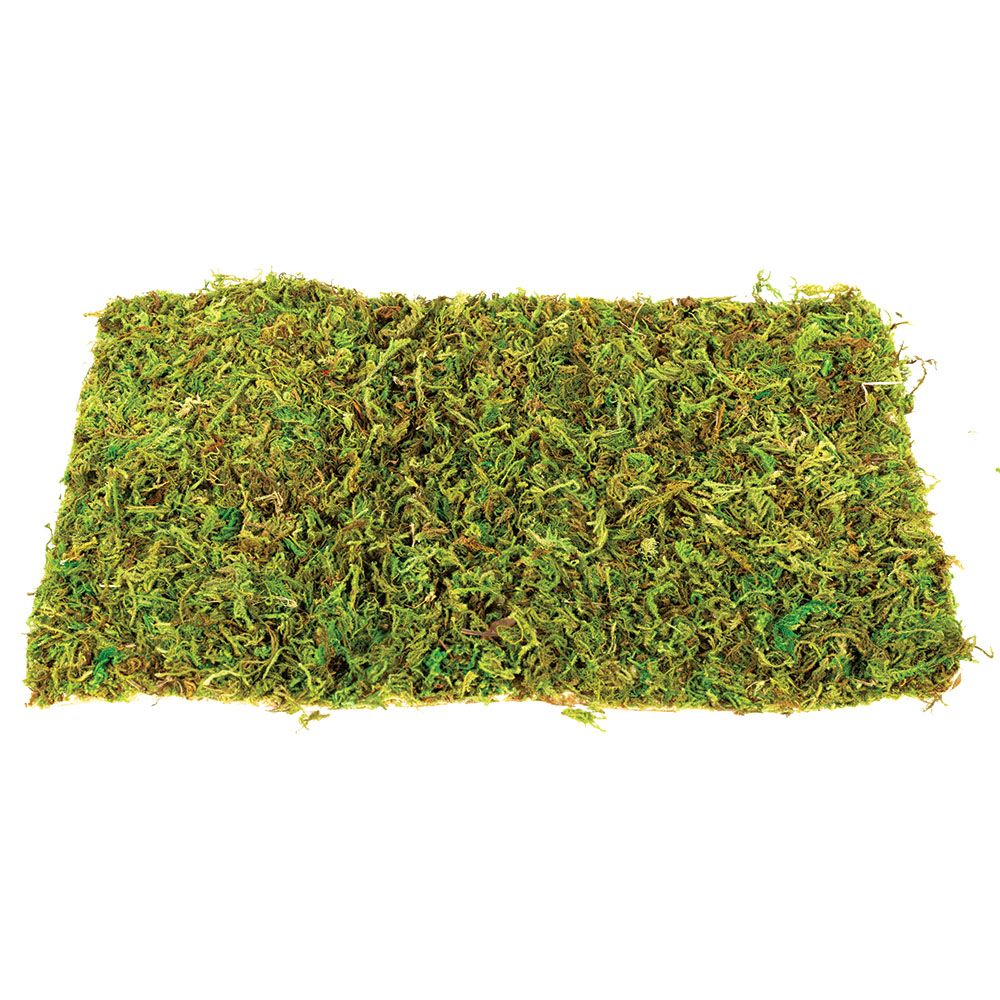 Komodo Moss Mat Large - 2 pack