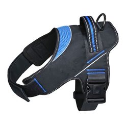 Lacy Bones Padded Harness Black/Blue - 6-14kg