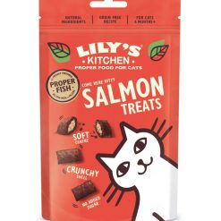Lily's Kitchen Cat Pillow Treat Salmon - 60g, case of 10