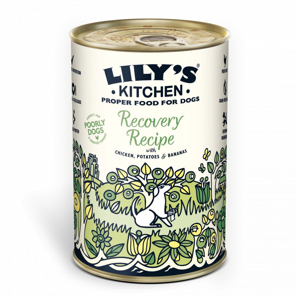 Lily's kitchen sensitive dog sales food
