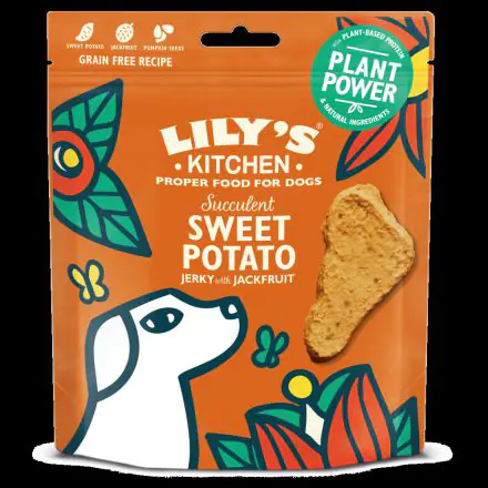 Lily's Kitchen Dog Sweet Potato & Jackfruit - 70g