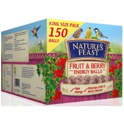 Nature's Feast Energy Balls Fruit & Berry - 150s