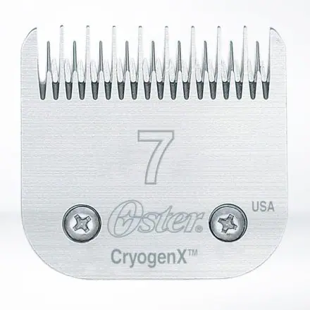 Oster Blade 7