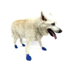 Pawz Dog Boots Blue Medium - 12 pack