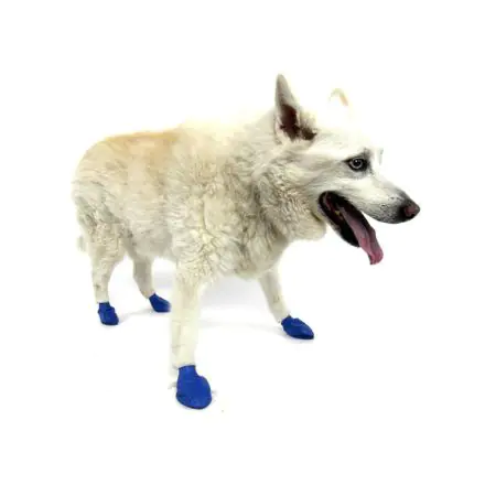 Easy dog boots shop