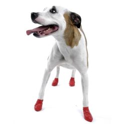 Pawz Dog Boots Red Small - 12 pack
