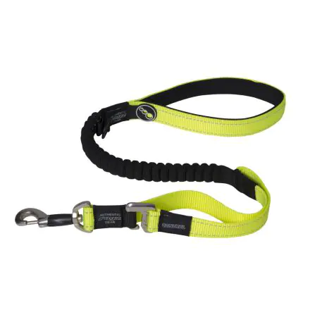 Rogz Control Lead Dayglo - Extra Large