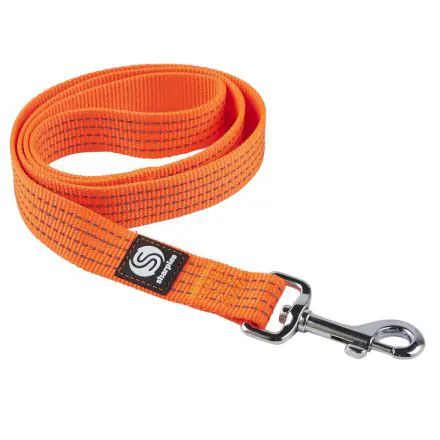 Walk 'R' Cise Reflect 'A' Lead - Large - 100cmx25mm