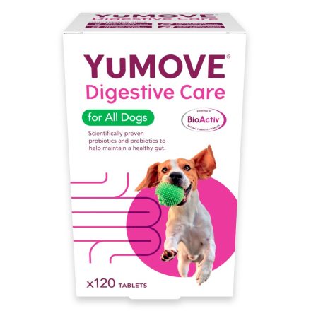 YuDIGEST probiotics supplement 120 pack - 120tabs